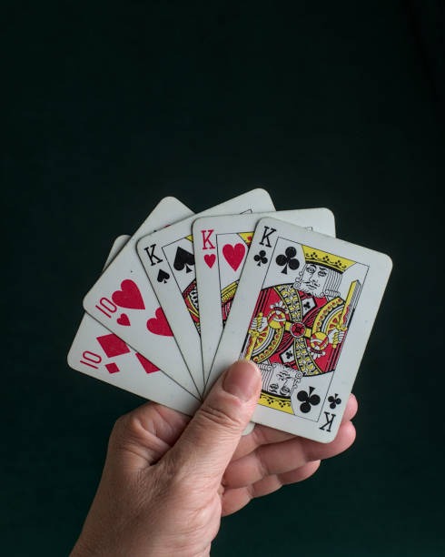 tortogel Round-by-round Payouts